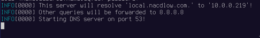 A screenshot of the development DNS server running